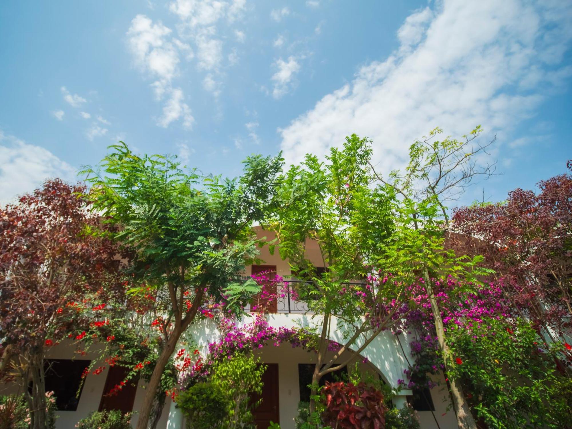 Casa Hotel Mamaluna Lunahuaná Eksteriør billede