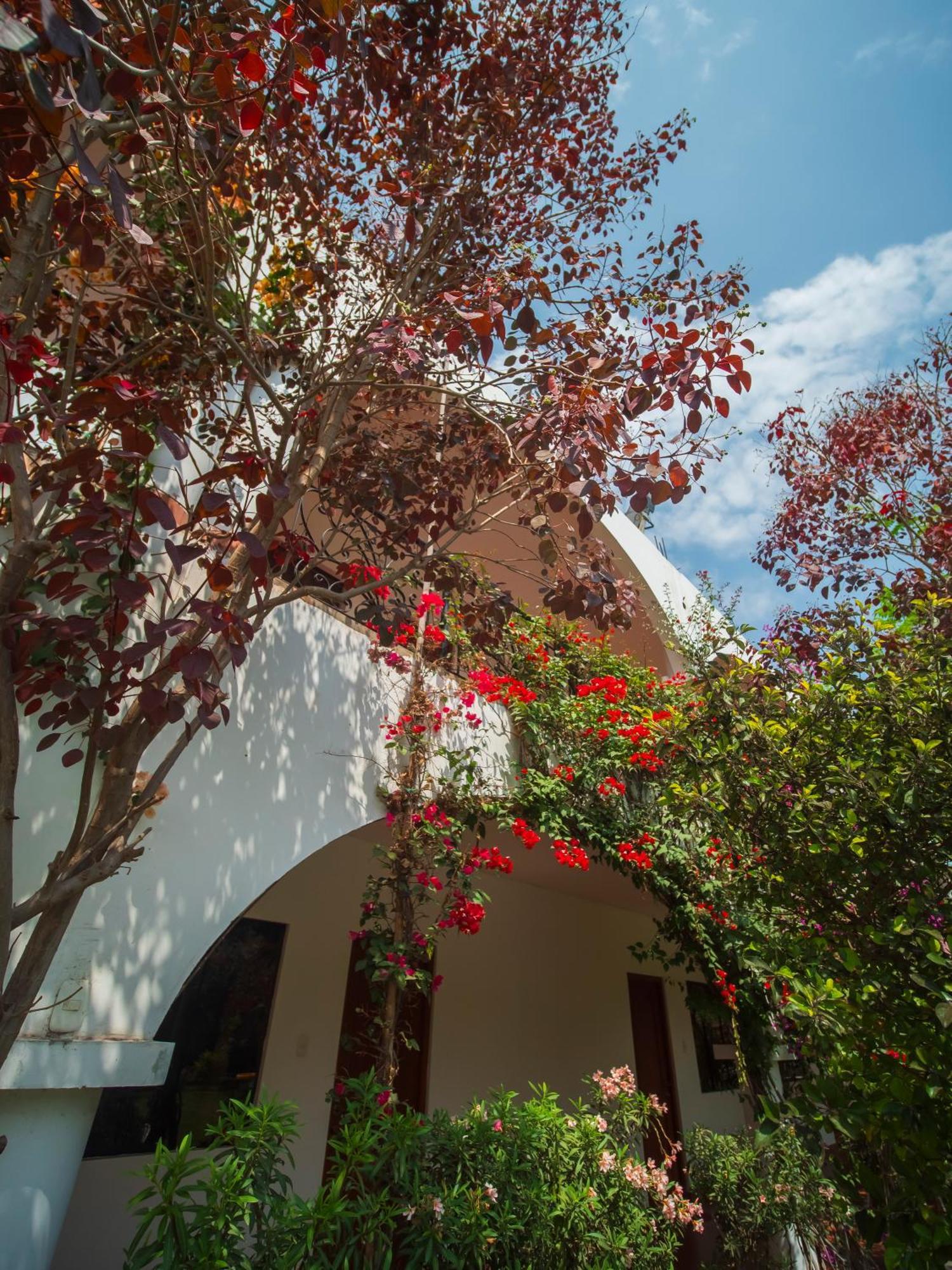 Casa Hotel Mamaluna Lunahuaná Eksteriør billede